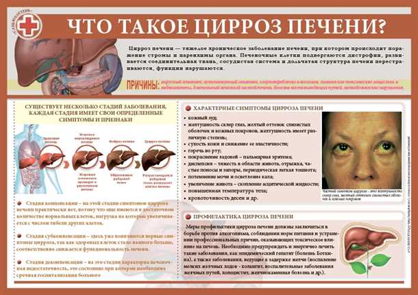 Вредные продукты, негативно влияющие на печень