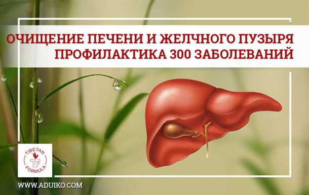 Профилактика печени