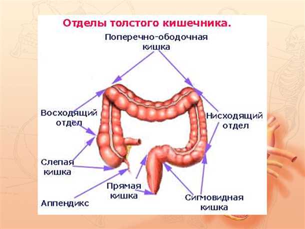 Процедуры удаления полипов