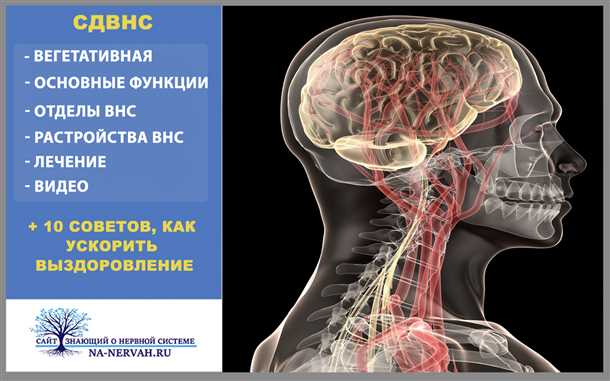 Расстройство аутоно́мной нервной систе́мы