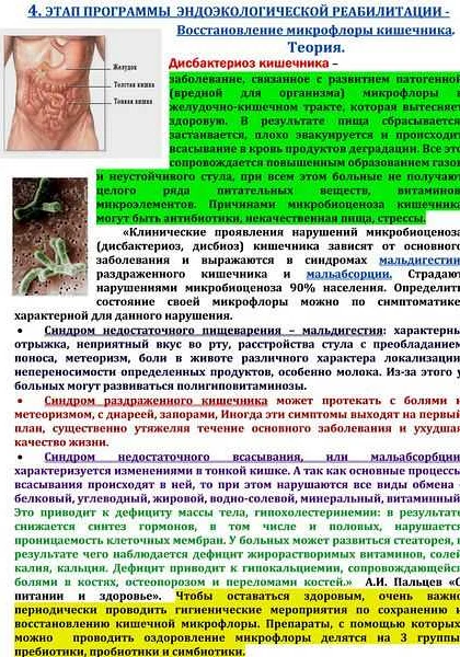 Расстройство кишечника: причины и факторы развития