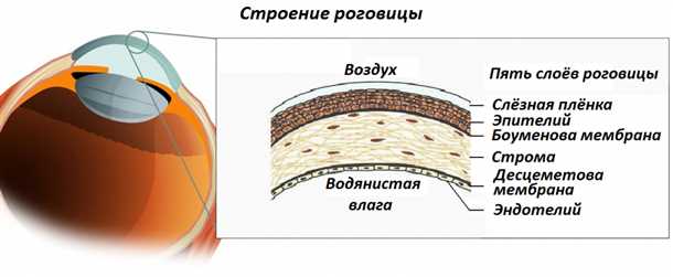 Преломление света в роговице