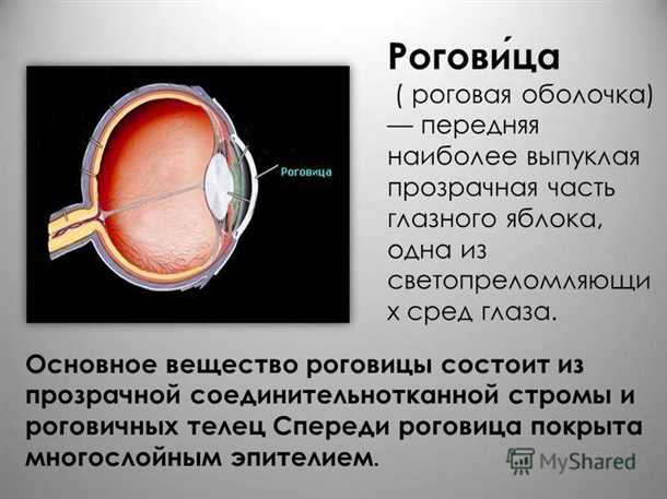 2. Защита от травм