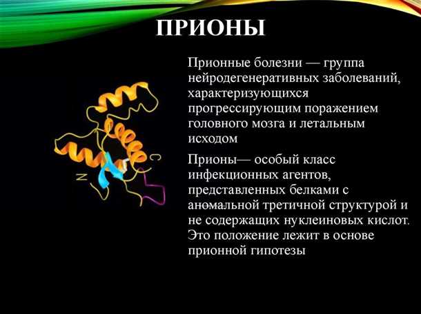 Альтернативные способы борьбы с накоплениями белков в процессе развития заболеваний