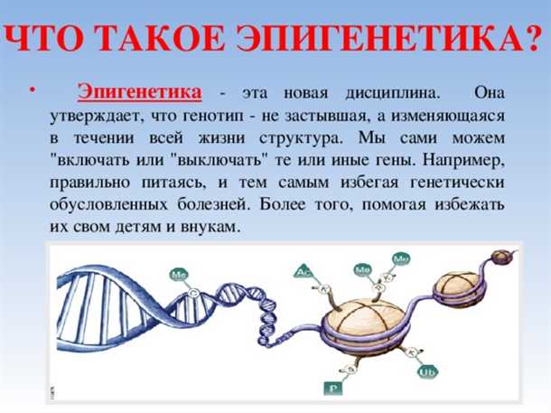 Роль эпигенетики в психических расстройствах.