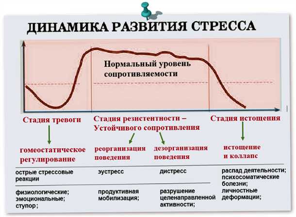 Эстрогены и их воздействие на эмоциональную регуляцию