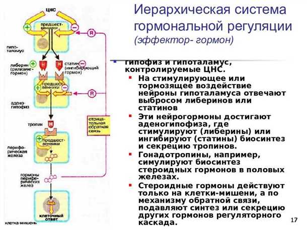 Взаимодействие мелатонина и профилактика неврологических заболеваний