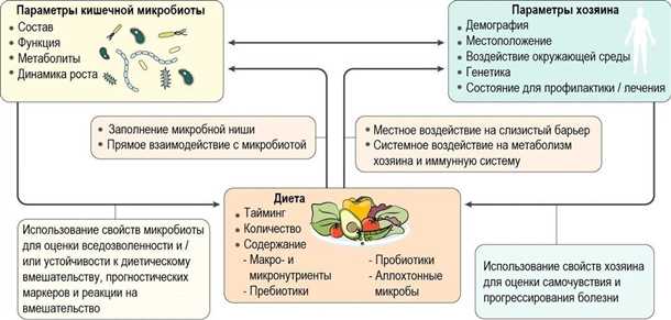 Влияние микробиоты на состояние эмоционального фона