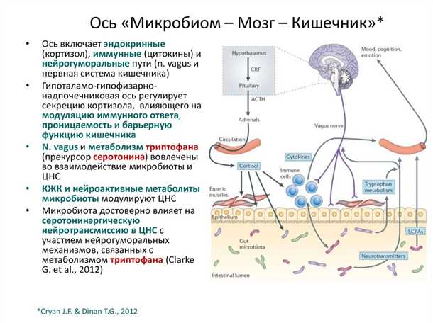 Роль микробиоты кишечника в патогенезе дегенеративных заболеваний нервной системы.