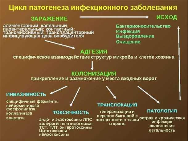 Ингибиторы активации специфической клеточной популяции в лечении прогрессирующих патологических состояний
