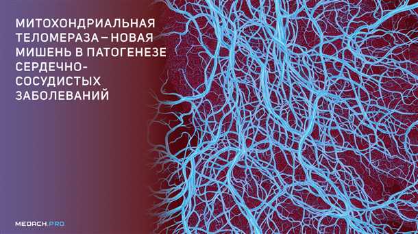 Роль митохондриальной дисфункции в патогенезе дегенеративных заболеваний.