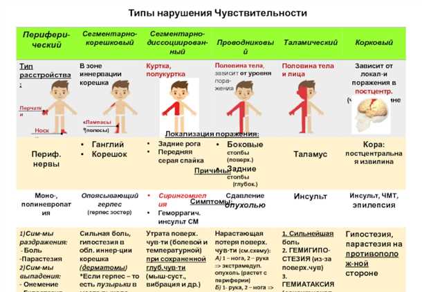 Мультимодальный подход к улучшению состояния пациентов с ролевыми двигательными расстройствами