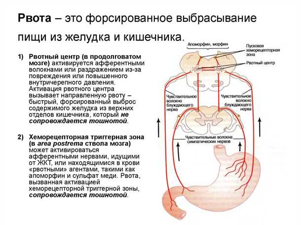 Рвотный рефлекс при лечении зубов что делать