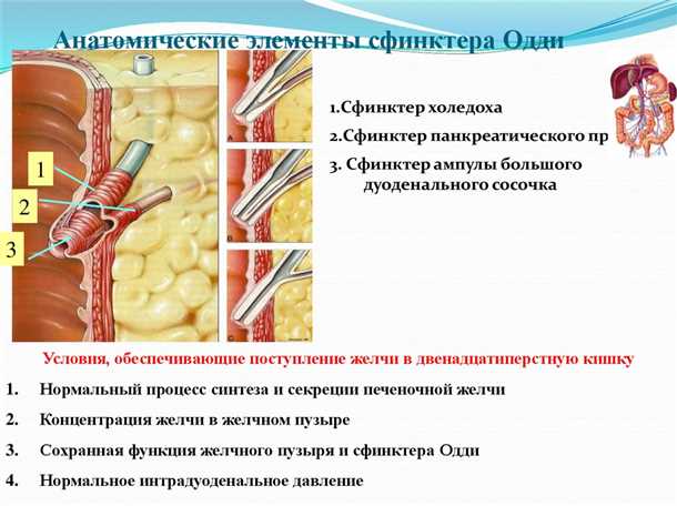 Подозрение на расстройства Сфинктера Одди