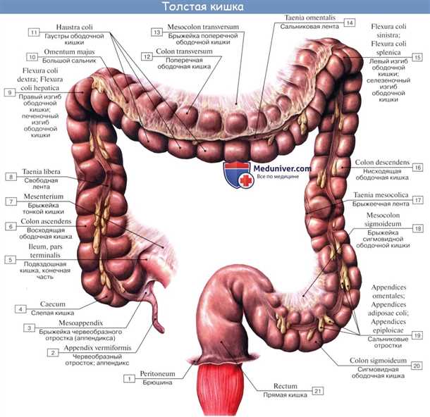 Лечение заболеваний сигмовидной кишки
