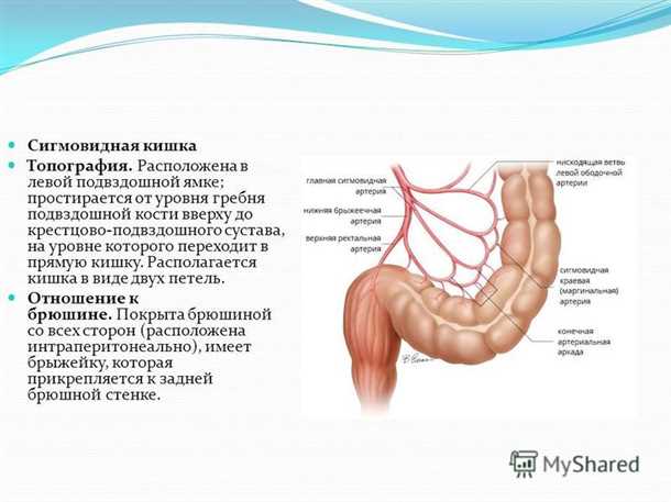Важность правильного питания