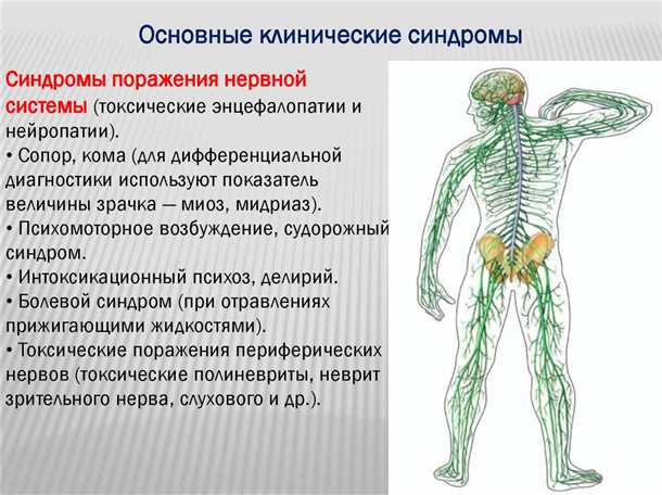 Системные заболевания и периферическая нейропатия