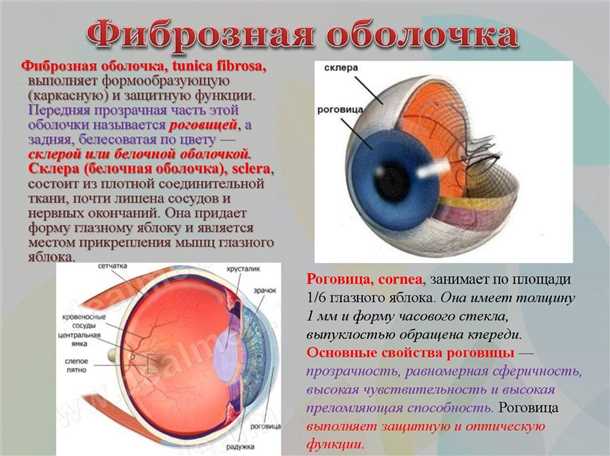 2. Воздействие вредных веществ