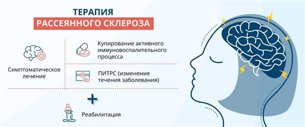 Силовые тренировки как способ поддержания физического состояния