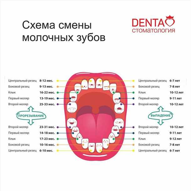 Преимущества регулярных визитов к стоматологу:
