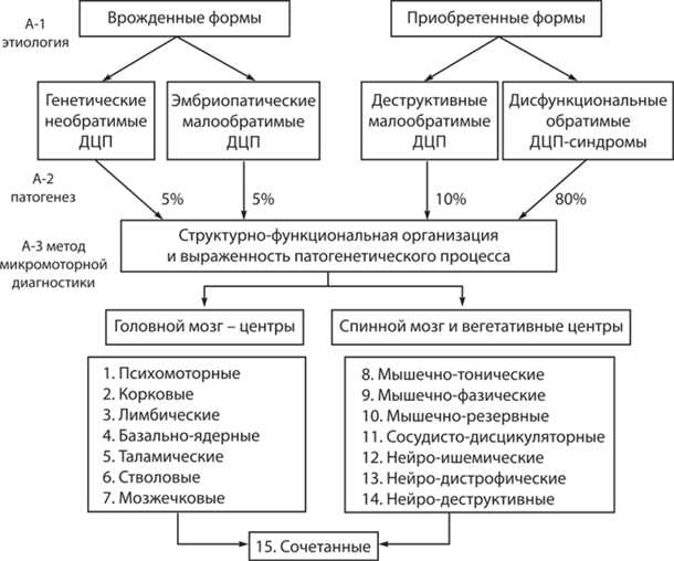 Сосудистые аномалии и нарушения речи: диагностика и реабилитация