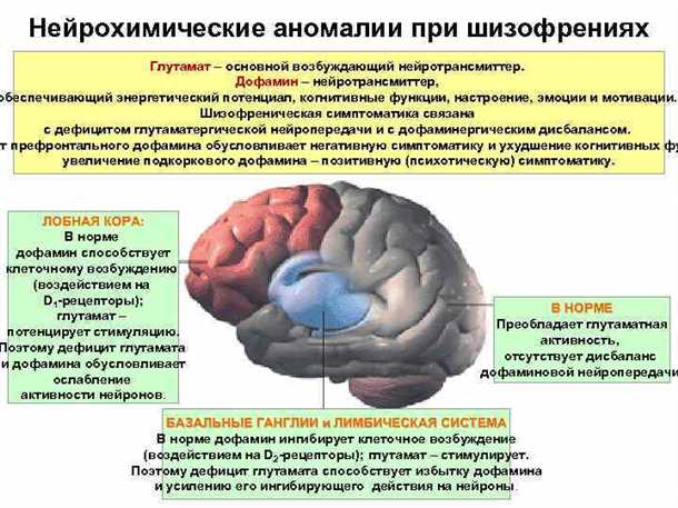 Взаимосвязь между сосудистыми аномалиями и нарушениями сна