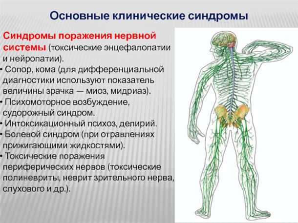 Сосудистые аномалии при поражении периферической нервной системы: диагностика и лечение.