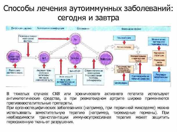 Роль эластических волокон в функционировании сосудов при аутоиммунных заболеваниях