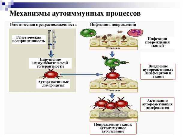 Использование препаратов, воздействующих на иммунную систему, в лечении поражений кровеносных сосудов при аутоиммунных патологиях