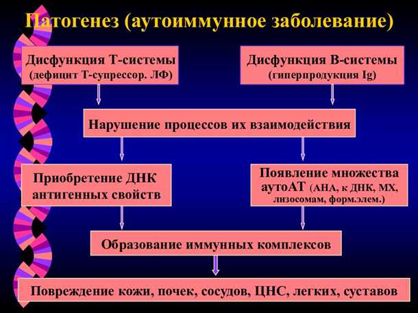 Взаимосвязь между иммунным ответом и ремоделированием сосудов при автоиммунных заболеваниях