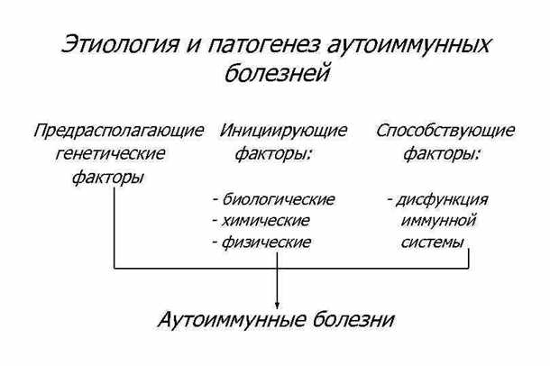 Сосудистые изменения при автоиммунных заболеваниях: патогенез и методы коррекции.