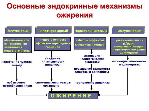 Влияние атеросклероза на организм