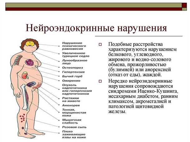 4. Гормональные изменения и атеросклероз