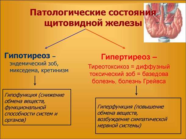 Сосудистые изменения при эндокринных заболеваниях щитовидной железы: патогенез и терапия.