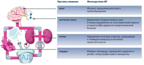 Роль артериального давления