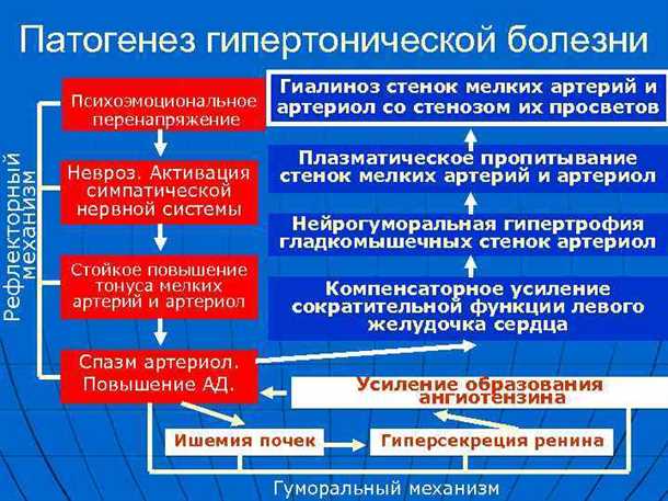 Сосудистые изменения при гипертонической болезни: механизмы и клинические последствия.