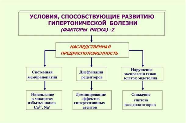 Направления лечения и перспективы генной терапии