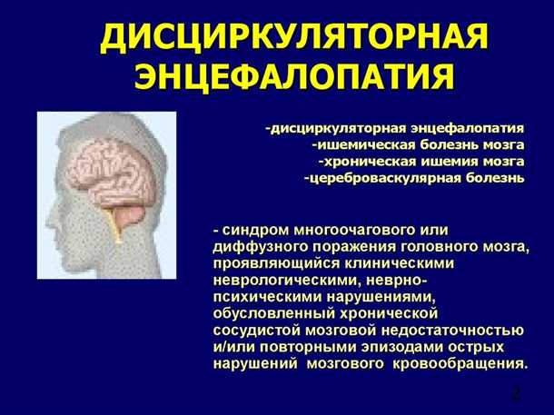 Заключение