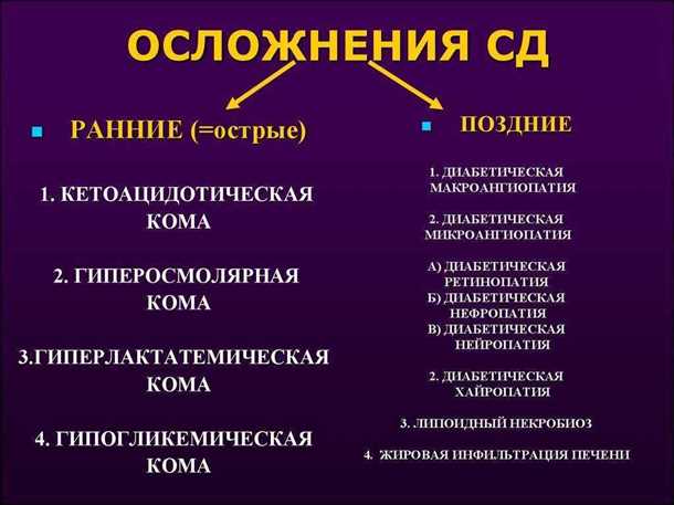 Правильное питание