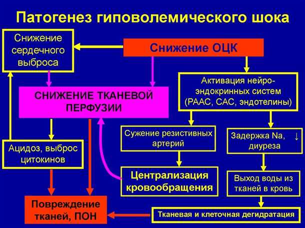 Взаимосвязь между сосудистой системой и нейросенсорными нарушениями