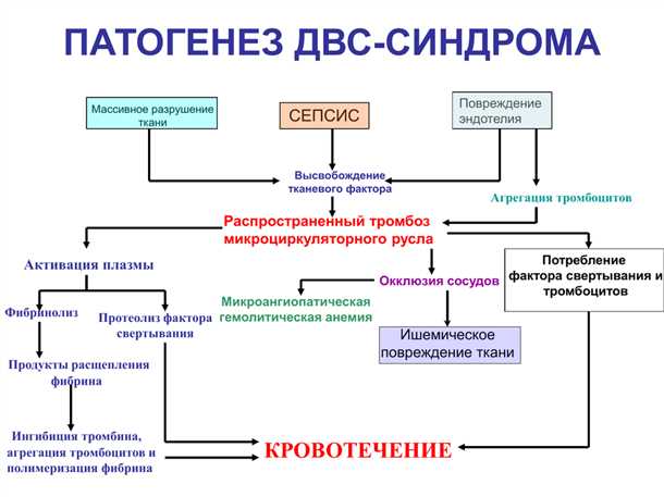 Микроциркуляция: важное звено в развитии сенсорных нарушений