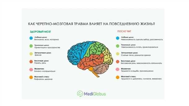 11. Влияние рационального питания на восстановление работы сосудов головного мозга после травмы