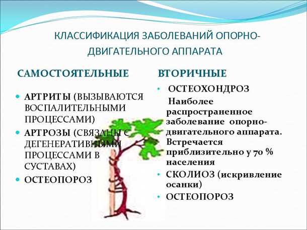 Сосудистые изменения при заболеваниях опорно-двигательного аппарата: взаимосвязь и лечение.