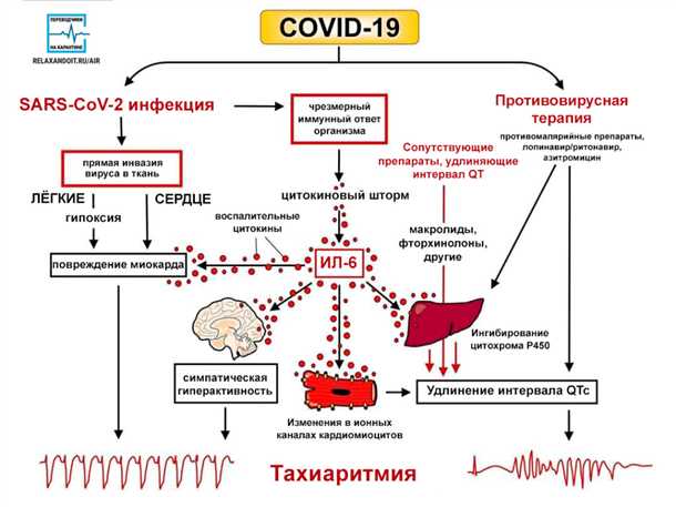 Сосудистые изменения в патогенезе хронических неврологических заболеваний.