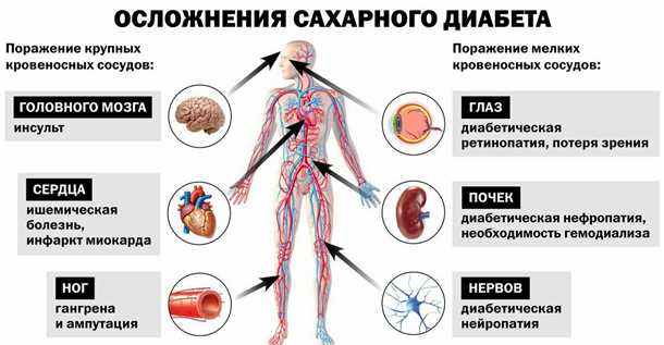  Внешние проявления 