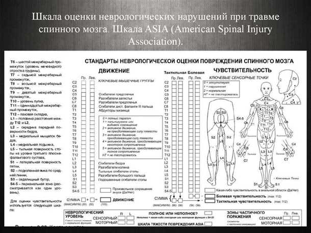 2. Классификация по возрастной группе пациентов