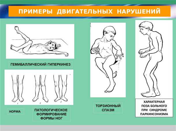 Клиническое обследование