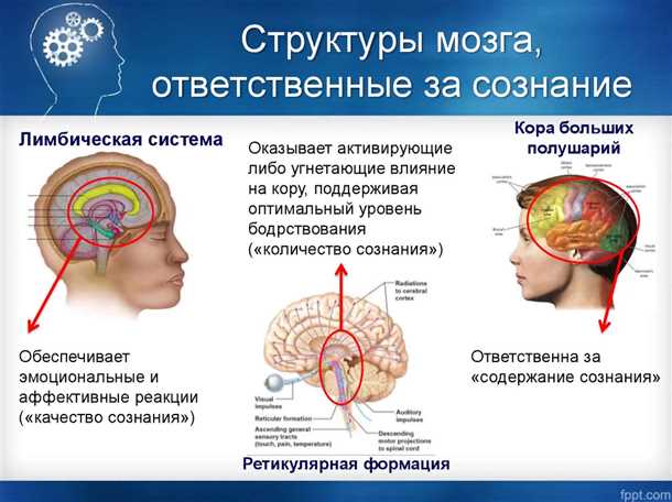 Индивидуальный подход к лечению