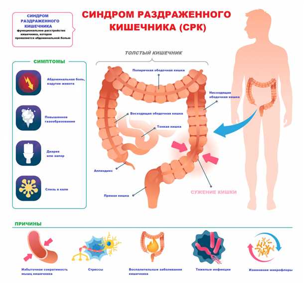 Правильное питание