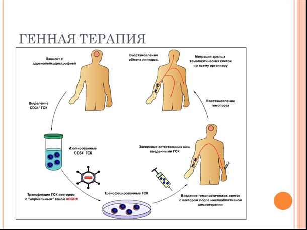Терапия генной модификацией при дегенеративных заболеваниях.
